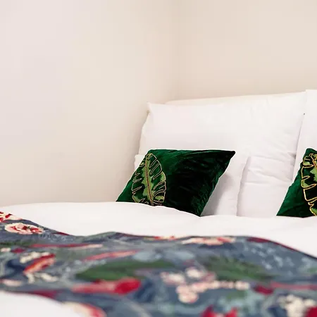 Novera - Donizetti C