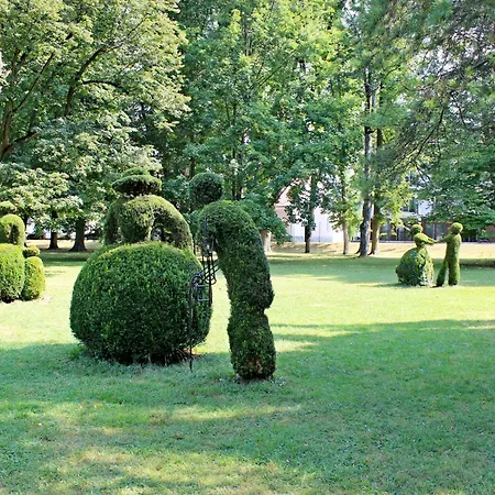 Donizetti C