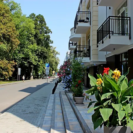 Novera - Donizetti C *