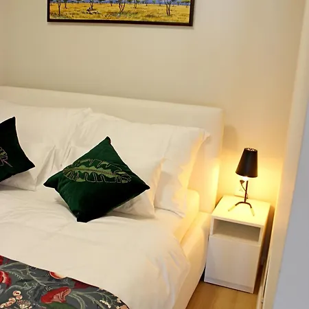 Novera - Donizetti C