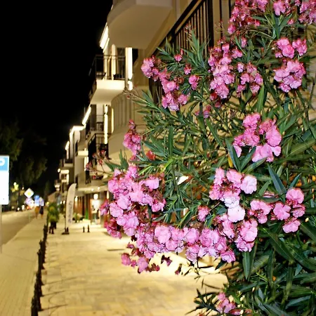 Apartment Donizetti C